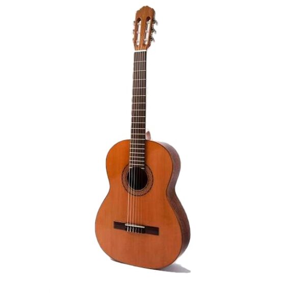 גיטרה קלאסית תוצרת ספרד Raimundo Model 104B