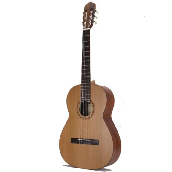 גיטרה קלאסית תוצרת ספרד Raimundo 103M
