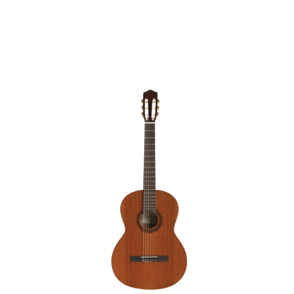 גיטרה קלאסית קטנה תוצרת ספרד Raimundo 1491 610mm